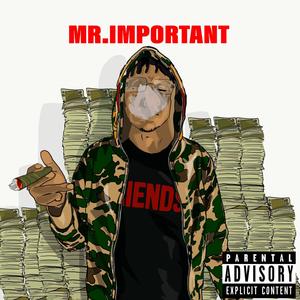 Mr. Important (Explicit)