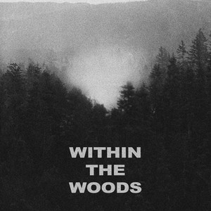 WITHIN THE WOODS (feat. bod [包家巷]) [Explicit]