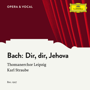J.S. Bach - Dir, dir, Jehova will ich singen, BWV 452