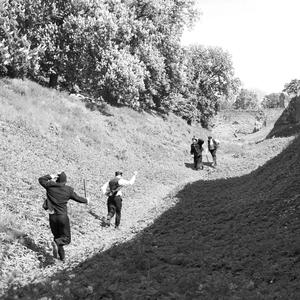 KOER SÖÖB KOERA (Explicit)