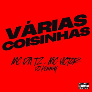 VÁRIAS COISINHAS (Explicit)