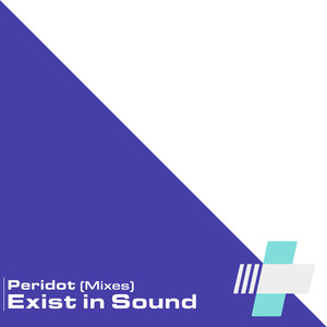 Exist in Sound (Extended Mix)