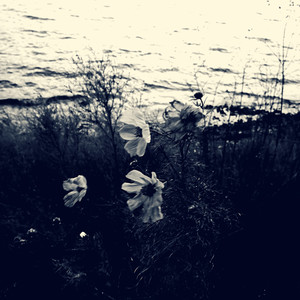 百世情愁 孤星泪 伴奏