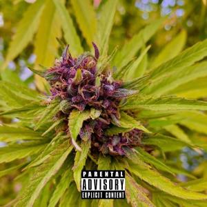 K2(feat. Uncle Diesel) (Explicit)