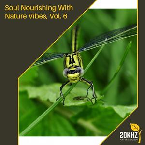 Soul Nourishing With Nature Vibes, Vol. 6