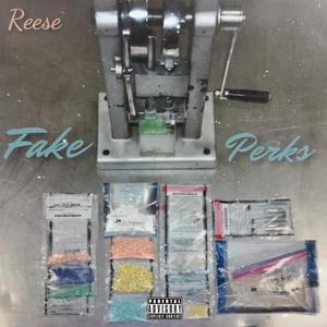 Fake Perks (Explicit)