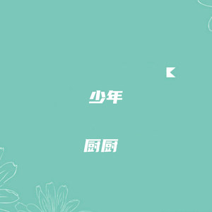 少年