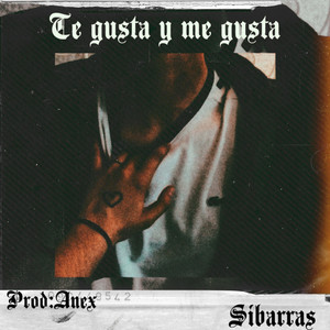 Te gusta y me gusta (Explicit)