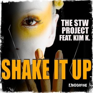 Shake It Up (Radio Edit)