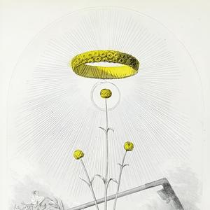 Festival at Crowded Castle