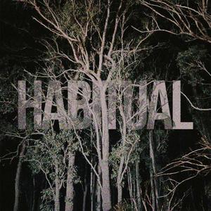 Habitual (Explicit)