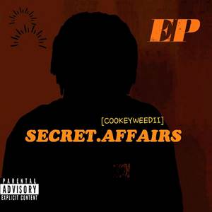 SECRET AFFAIRS