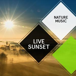 Live Sunset - Nature Music