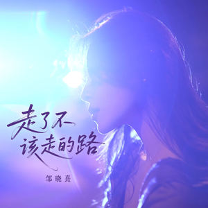 走了不该走的路