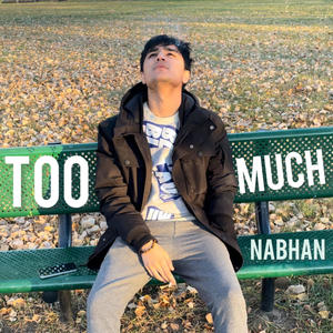 Too Much (Explicit)