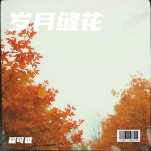 岁月缝花封面