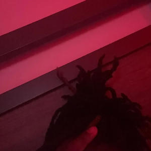 I wont tell a soul (Explicit)
