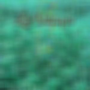 Life Changes (Explicit)