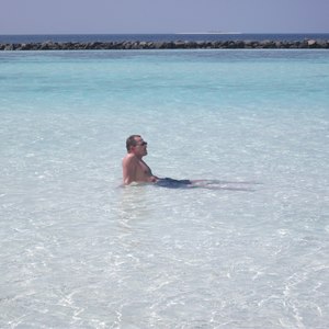 Just a Midsummer Nights Dreams