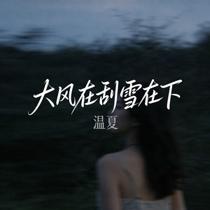 大风在刮雪在下