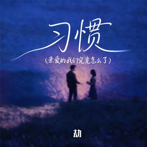 习惯 (亲爱的我们究竟怎么了)