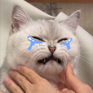 刘姝贤 - Be My Cat (Demo)