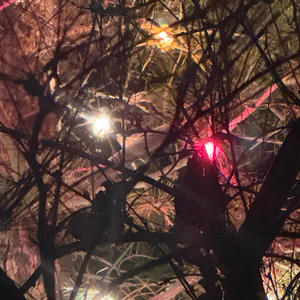 Blues Clues (Explicit)