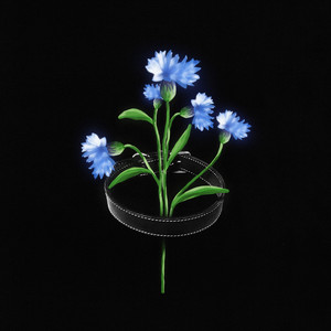 Ошейник (Explicit)