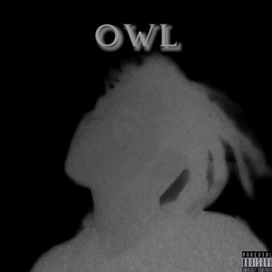 OWL (Explicit)