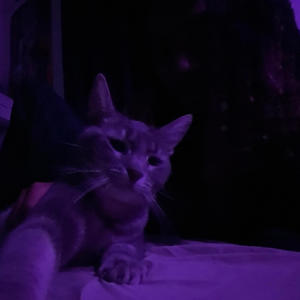 Jams - Nights Like This (Explicit)