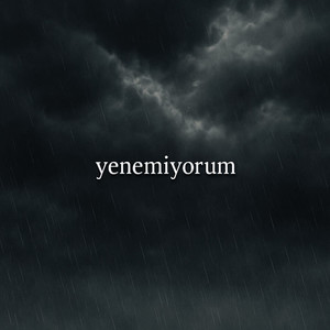 Yenemiyorum