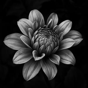 Note To An Angel (Explicit)