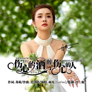 伤心的酒醉了伤心的人封面
