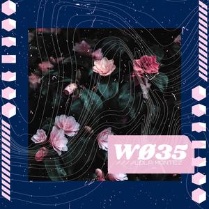 WØ35