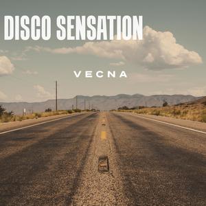 Disco Sensation