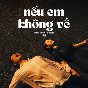 Nếu Em Không Về (Lofi)