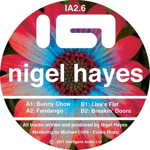 Nigel Hayes - Lisa's Flat (Original Mix)