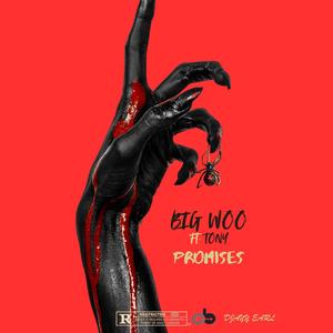 PROMISES (feat. BIG WOO & TONY) (Explicit)