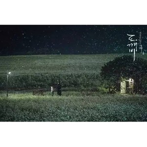 像初雪一样靠近你 (翻唱版)