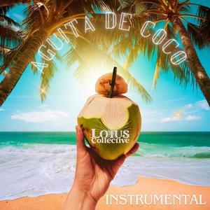 Aguita de Coco (feat. Mike DeVito & Ramon Chicharron) (Instrumental)