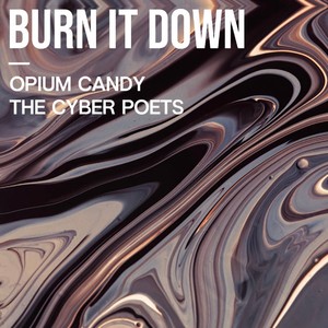 Burn it Down (Radio Edit)