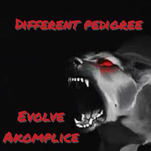 Different Pedigree (feat. Evolve) (Explicit)