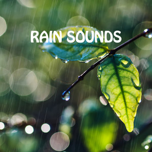 Rain Sounds