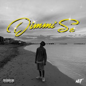 DIMMI SE (Explicit)