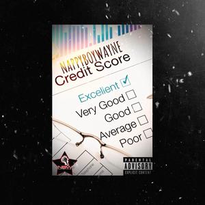 Credit Score (Explicit)