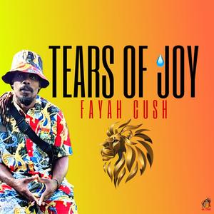 Tears Of Joy