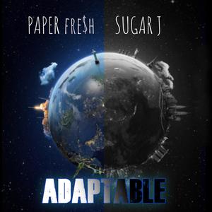 Adaptable (Explicit)