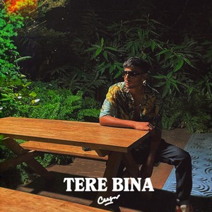 Tere Bina