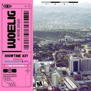 WOELIG (feat. CODE.IN, KING ELEGANT & ZYX) (Explicit)