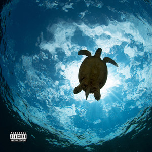 Turtle Man (Original Motion Picture Soundtrack)